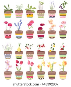  Spring flowers and summer vegetables in pots. Objects for your design, advertisement, posters.