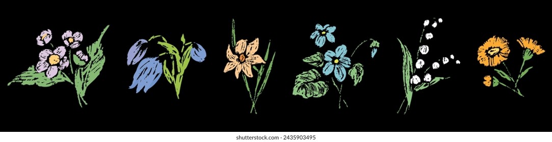 Spring flowers textured sketches, narcissus, lily of the valley, crocus, violet, snowdrop, dandelion, delicate, vector hand drawings on black background