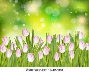 Spring flowers. Tulip bouquet on the bokeh background. EPS 10 vector file included