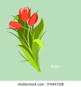 Spring flowers. Tulip. Flet design. Vector illustration