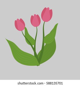 Spring flowers. Tulip vector sketch. For use as logos on cards, in printing, posters, invitations, web design and other purposes.