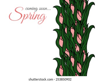 Spring flowers. Tulips. 