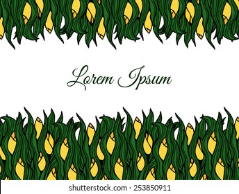 Spring flowers. Tulips. 