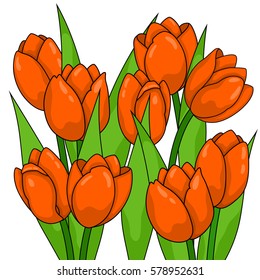 Spring flowers. Tulips