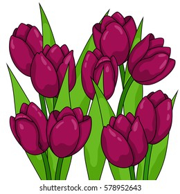 Spring flowers. Tulips