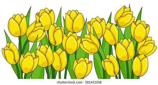 Spring flowers. Tulips