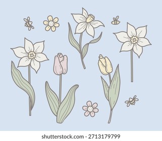 Spring Flowers Tulips, Daffodils and Chamomile with Bees Hand Drawn. Pastel Color Doodle Set. Isolated Botanical Garden Plants. Vector illustration. Not AI