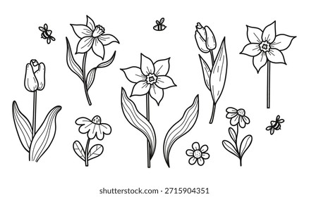 Flores da primavera Tulipas, Daffodils e Chamomile mão desenhou conjunto de doodle. Isolado Jardim Botânico Plantas Linha Arte. Vetor ilustração. Não é IA 