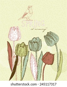 Spring flowers. Tulips. Greeting Card for March 8. Poster with flowering plants in doodle vintage style. Sketch. Hipster blossom design. 