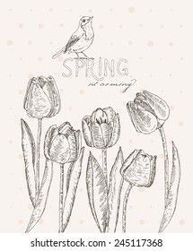 Spring flowers. Tulips. Greeting Card for March 8. Poster with flowering plants in doodle vintage style. Sketch. Hipster blossom design. 