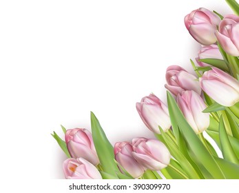 Spring flowers. Tulips isolated on white. EPS 10 vector file included