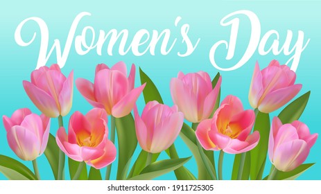 Spring flowers tulips. Vector illustration. Pink tulip. Greeting card