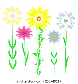 Spring flowers. vector