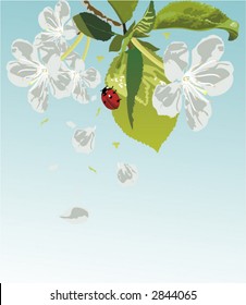 spring flowers - vector