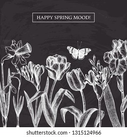 Spring flowers vector design. Tulips, narcissus freesia, iris drawings. Hand sketched botanical illustrations. Garden and forest plants . Vector invitation or greeting card template. On chalkboard.