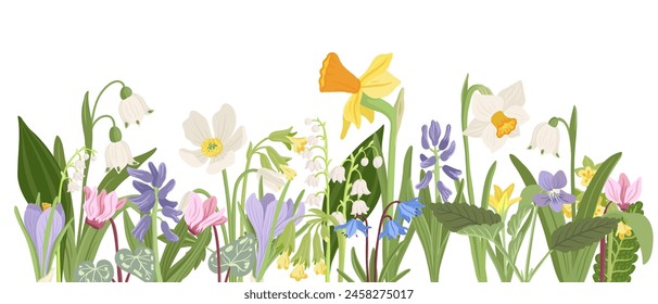 spring flowers, vector drawing wild plants at white background, floral composition, hand drawn botanical illustration