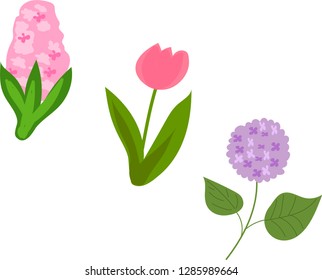 
spring flowers vector illustration