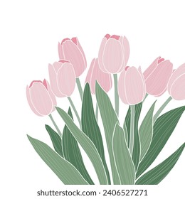 Ilustración vectorial de flores de primavera. Bouquet de tulipanes rosados con cinta. Día de San Valentín, cumpleaños, día de la madre.