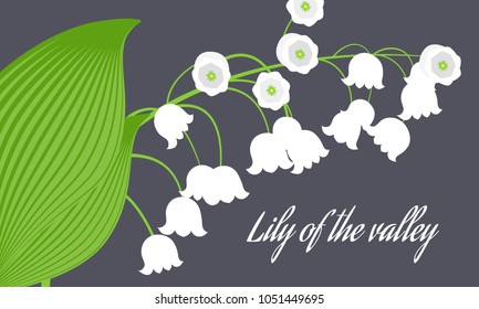 Spring Flowers. Vector Illustration with Lily of the Valley. Beautiful Template with Convallaria Flowers. May Lily in Hipster Style for Spring Design, Card, Greeting, Invitation, Wedding, Poster.