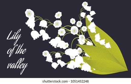 Spring Flowers. Vector Illustration with Lily of the Valley. Beautiful Template with Convallaria Flowers. May Lily in Hipster Style for Spring Design, Card, Greeting, Invitation, Wedding, Poster.
