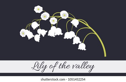 Spring Flowers. Vector Illustration with Lily of the Valley. Beautiful Template with Convallaria Flowers. May Lily in Hipster Style for Spring Design, Card, Greeting, Invitation, Wedding, Poster.