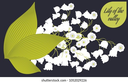 Spring Flowers. Vector Illustration with Lily of the Valley. Beautiful Template with Convallaria Flowers. May Lily in Hipster Style for Spring Design, Card, Greeting, Invitation, Wedding, Poster.