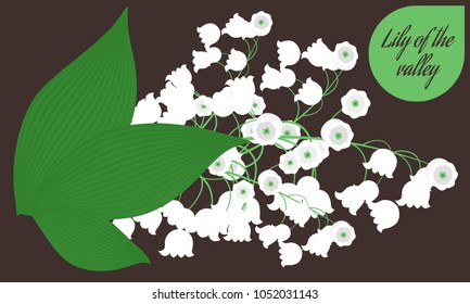 Spring Flowers. Vector Illustration with Lily of the Valley. Beautiful Template with Convallaria Flowers. May Lily in Hipster Style for Spring Design, Card, Greeting, Invitation, Wedding, Poster.