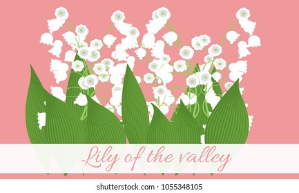Spring Flowers. Vector Illustration with Lily of the Valley. Beautiful Template with Convallaria Flowers in Pastel Color Design. May Lily in Hipster Style for Spring Design, Greeting, Wedding, Poster