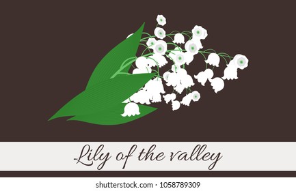 Spring Flowers. Vector Illustration with Lily of the Valley. Beautiful Template with Convallaria Flowers. May Lily in Hipster Style for Spring Design, Card, Greeting, Invitation, Wedding, Poster.