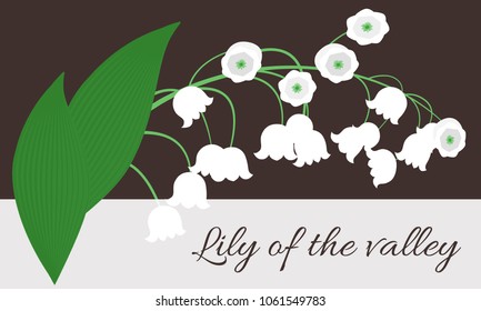 Spring Flowers. Vector Illustration with Lily of the Valley. Beautiful Template with Convallaria Flowers. May Lily in Hipster Style for Spring Design, Card, Greeting, Invitation, Wedding, Poster.