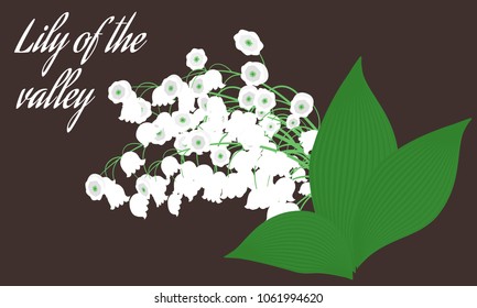 Spring Flowers. Vector Illustration with Lily of the Valley. Beautiful Template with Convallaria Flowers. May Lily in Hipster Style for Spring Design, Card, Greeting, Invitation, Wedding, Poster.