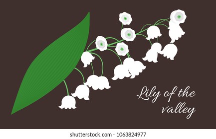 Spring Flowers. Vector Illustration with Lily of the Valley. Beautiful Template with Convallaria Flowers. May Lily in Hipster Style for Spring Design, Card, Greeting, Invitation, Wedding, Poster.