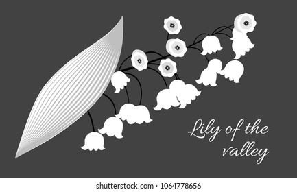 Spring Flowers. Vector Illustration with Lily of the Valley. Beautiful Template with Convallaria Flowers. May Lily in Hipster Style for Spring Design, Card, Greeting, Invitation, Wedding, Poster.
