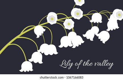 Spring Flowers. Vector Illustration with Lily of the Valley. Beautiful Template with Convallaria Flowers. May Lily in Hipster Style for Spring Design, Card, Greeting, Invitation, Wedding, Poster.