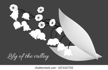 Spring Flowers. Vector Illustration with Lily of the Valley. Beautiful Template with Convallaria Flowers. May Lily in Hipster Style for Spring Design, Card, Greeting, Invitation, Wedding, Poster.
