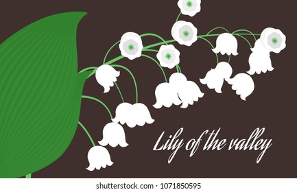 Spring Flowers. Vector Illustration with Lily of the Valley. Beautiful Template with Convallaria Flowers. May Lily in Hipster Style for Spring Design, Card, Greeting, Invitation, Wedding, Poster.