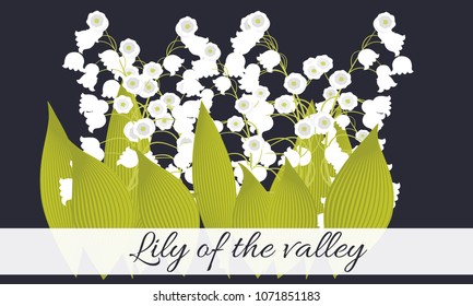 Spring Flowers. Vector Illustration with Lily of the Valley. Beautiful Template with Convallaria Flowers. May Lily in Hipster Style for Spring Design, Card, Greeting, Invitation, Wedding, Poster.