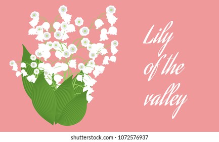 Spring Flowers. Vector Illustration with Lily of the Valley. Beautiful Template with Convallaria Flowers in Pastel Color Design. May Lily in Hipster Style for Spring Design, Greeting, Wedding, Poster