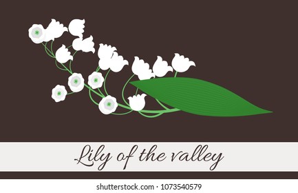 Spring Flowers. Vector Illustration with Lily of the Valley. Beautiful Template with Convallaria Flowers. May Lily in Hipster Style for Spring Design, Card, Greeting, Invitation, Wedding, Poster.