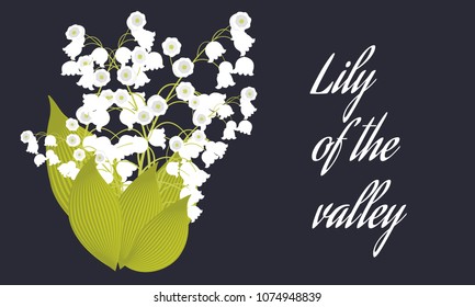 Spring Flowers. Vector Illustration with Lily of the Valley. Beautiful Template with Convallaria Flowers. May Lily in Hipster Style for Spring Design, Card, Greeting, Invitation, Wedding, Poster.