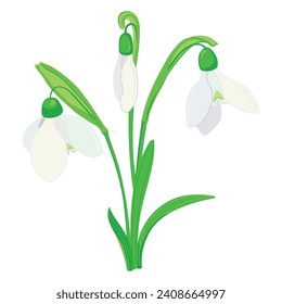 Flores de primavera. Ilustración vectorial de nevadas en estilo plano. Las gotas de nieve rompen la nieve. Ilustración simple sobre fondo aislado blanco.