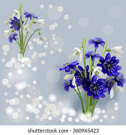 spring flowers, vector illustration for your design