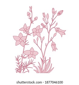vector de flores de primavera. flor monocroma. ilustración botánica de hierbas o flores. Colección de dibujos florales.