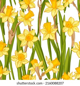 Spring flowers vector pattern Daffodils drawn on a white background. 