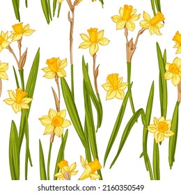 Spring flowers vector pattern Daffodils drawn on a white background. 