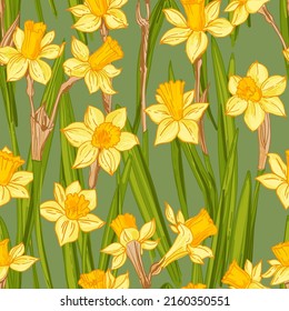 Spring flowers vector pattern Daffodils drawn on a green background. 
