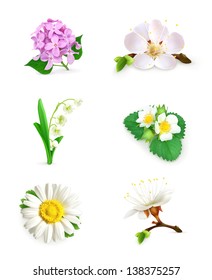 Spring flowers, vector set