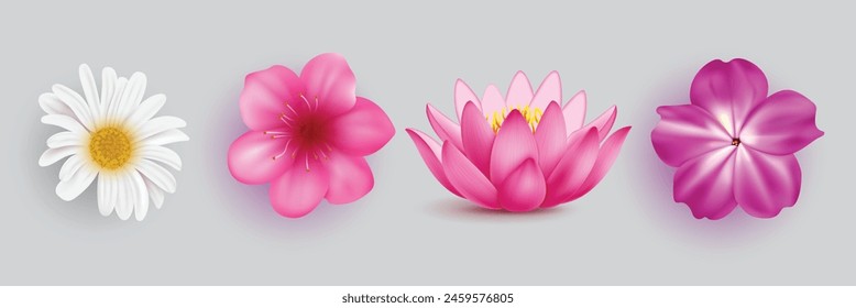 Frühlingsblumen Vektorgrafik Set Design. Frühlingsblumen Kollektion wie Gänseblümchen, Lotus, Kirschblüten und Immergrün blühende Elemente. Vektorillustration Frühlingsblumen Kollektion. 
