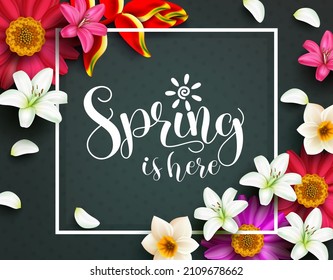 Spring flowers vector template background. Spring typography text in white frame with lily and daisy flower petals element for floral bloom season celebration decoration. Vector illustration.
