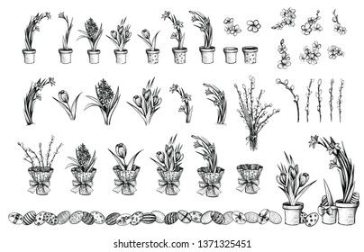 Spring flowers vector vintage illustration. Easter decoration, blossom flowers in pots and eggs set. Floral gardening sketches.